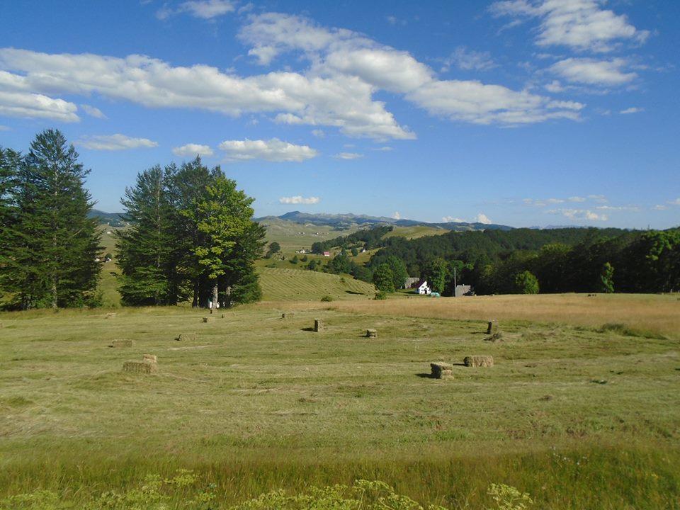 Koliba Toplik * Zabljak (Zabljak)