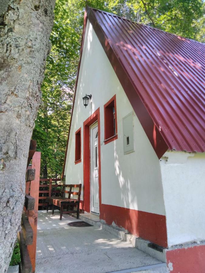 Koliba Toplik * Zabljak (Zabljak)